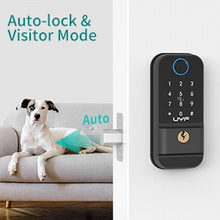 Load image into Gallery viewer, Hornbill Fingerprint Keyless Entry Door Lock
